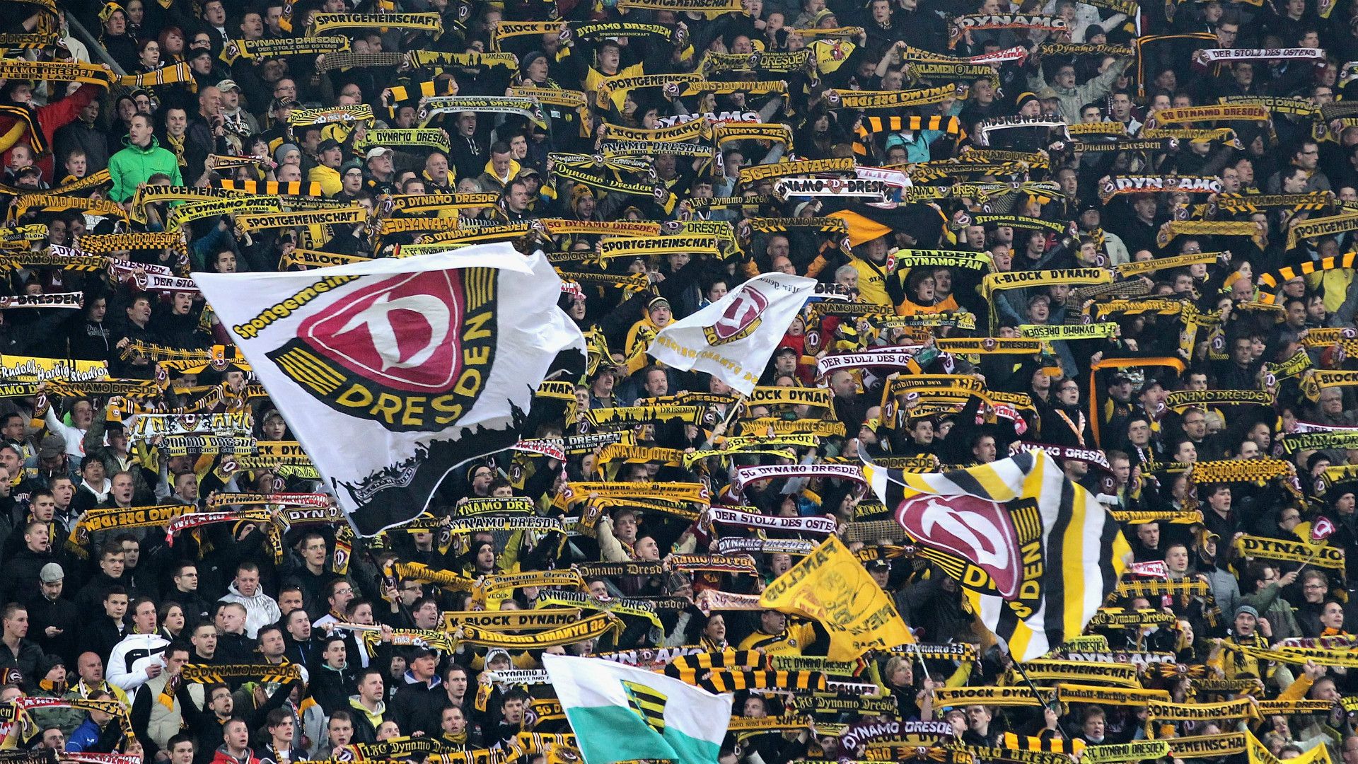 Dynamo Dresden Fans 1602012