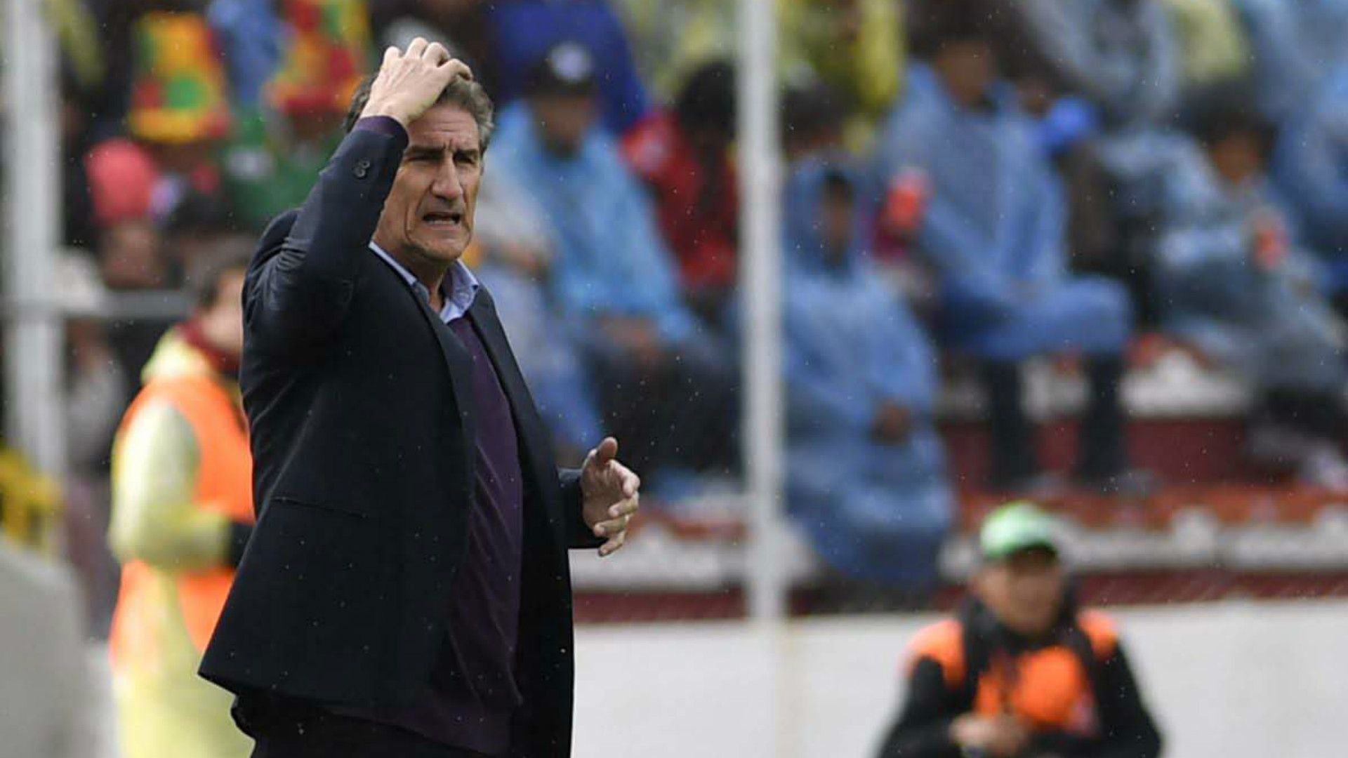 Bolivia Argentina Bauza Eliminatorias Sudamericanas Fecha 14 28032017