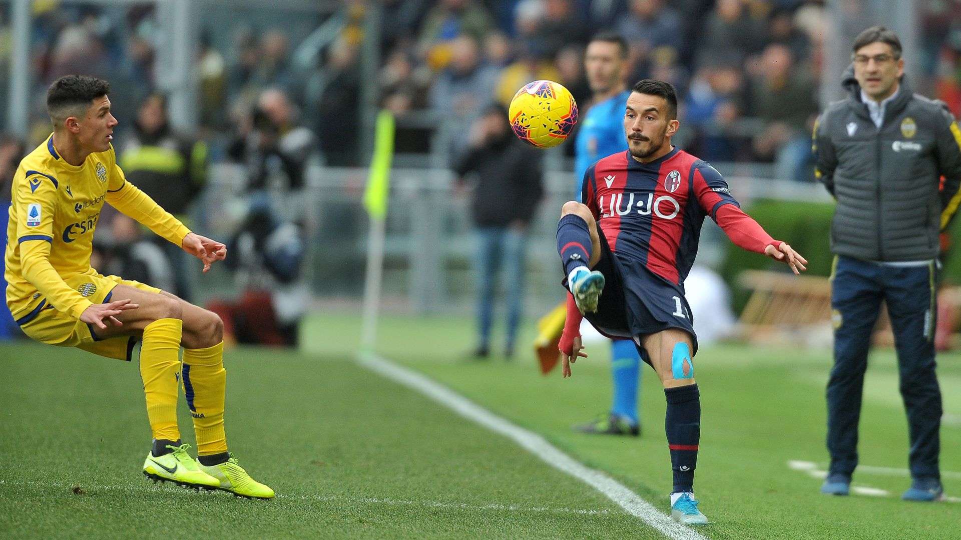 Nicola Sansone Bologna Verona Serie A