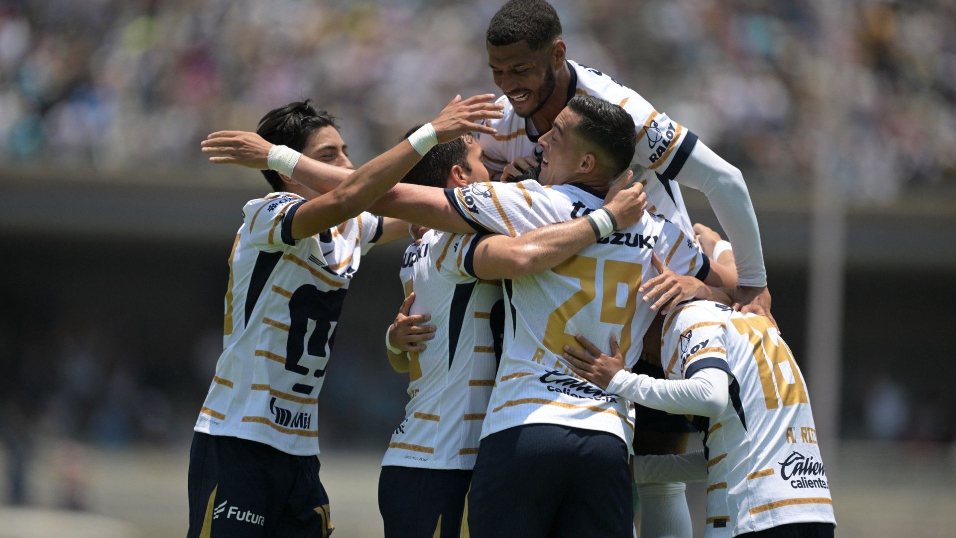 Pumas celebración Apertura 2024