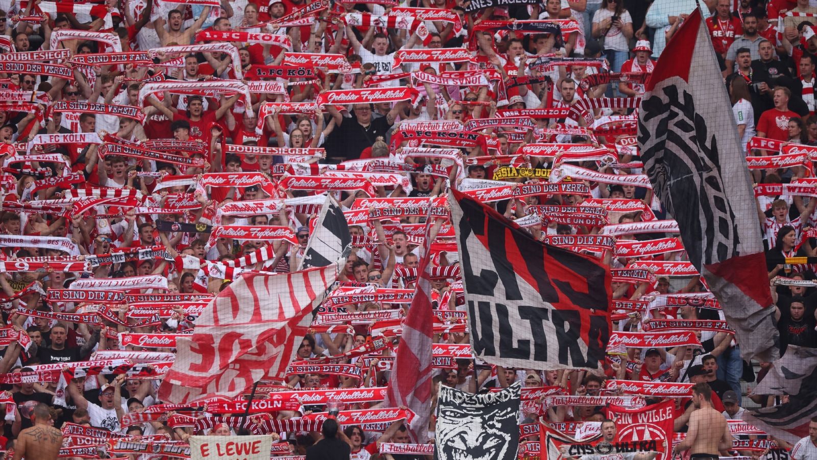 Fans des 1. FC Köln