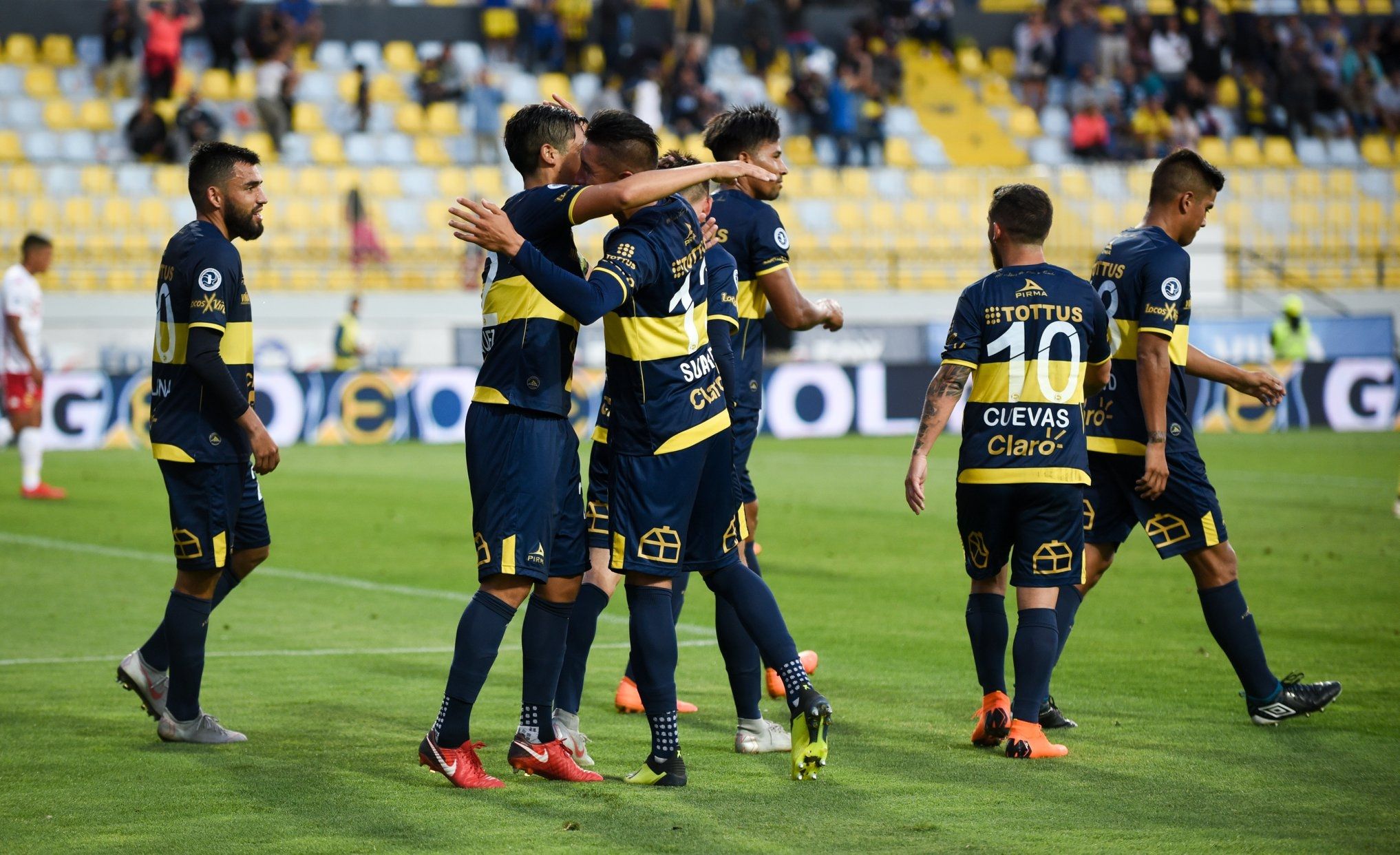 Everton de Viña del Mar