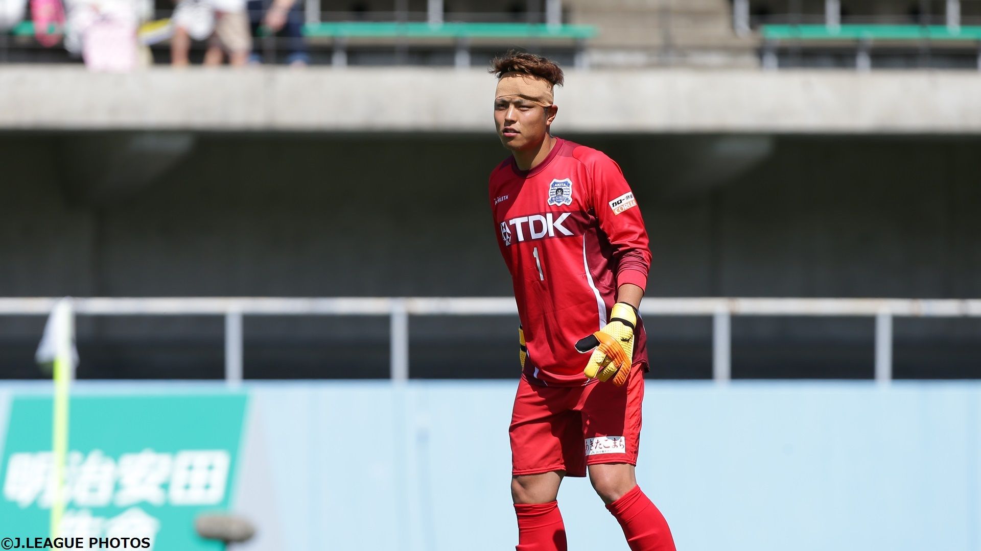 2017-06-06-akita-ozawa