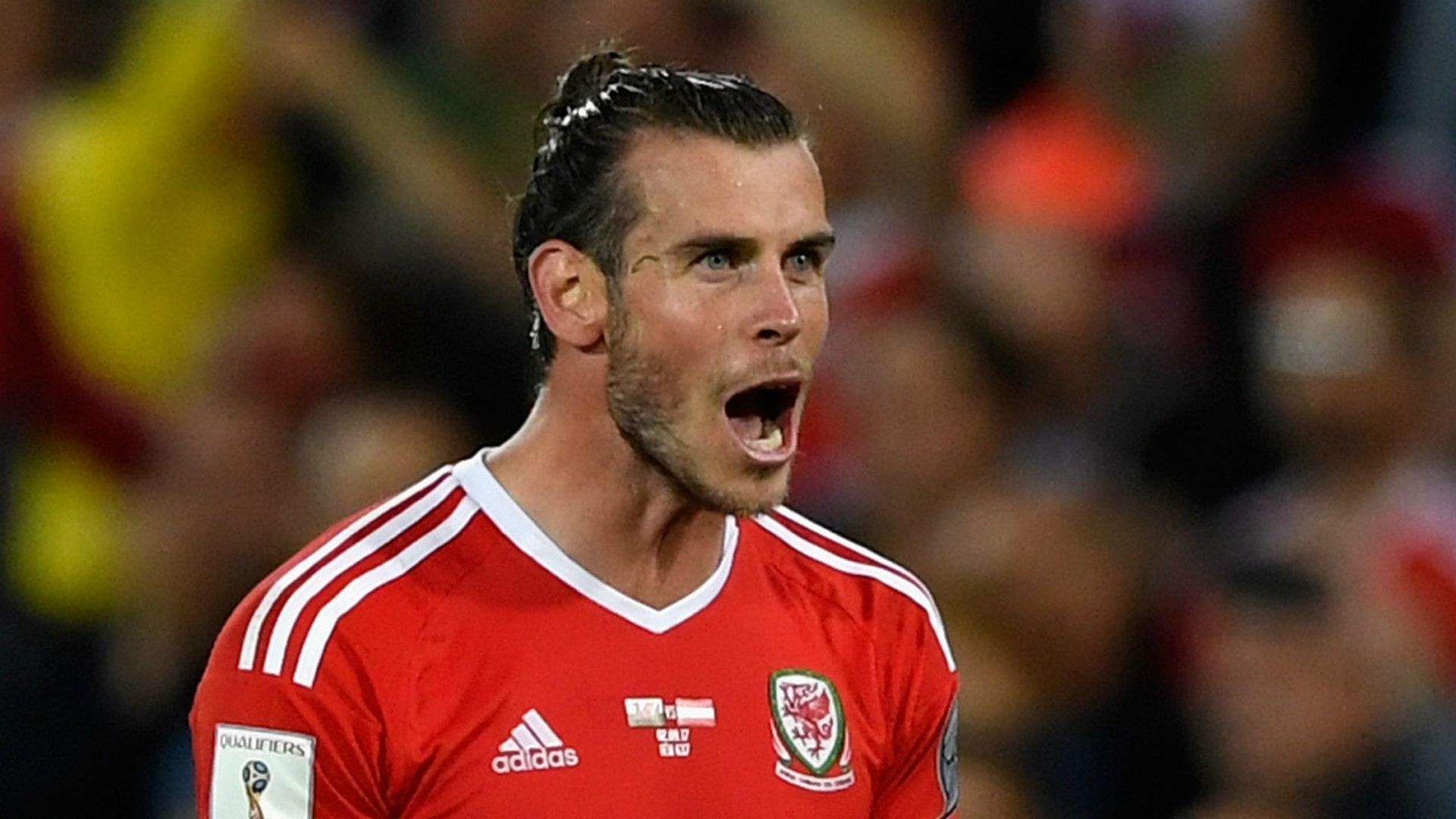 Gareth Bale Wales