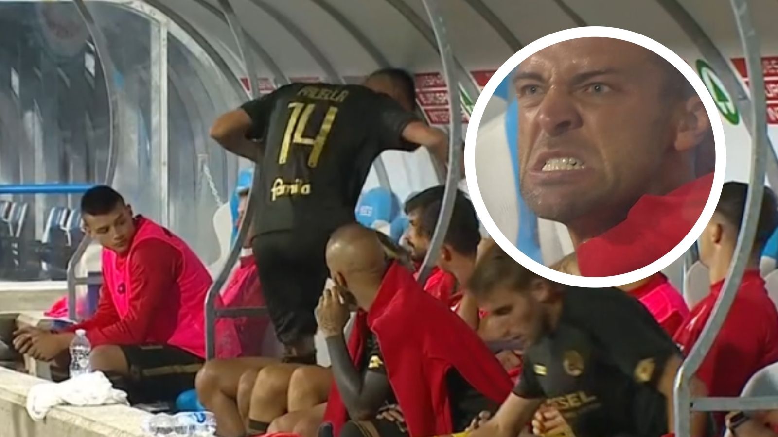 Padella SPAL-Vicenza