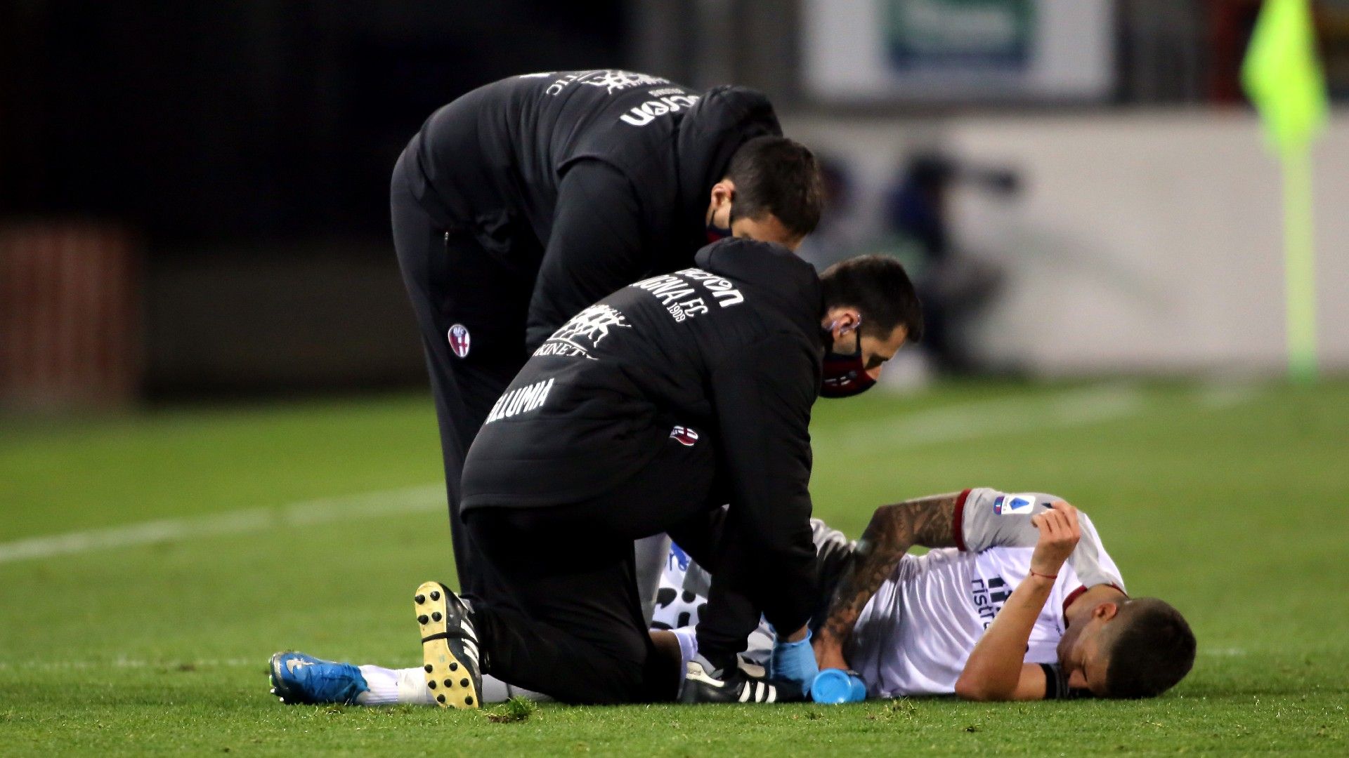 Nicolas Dominguez Bologna