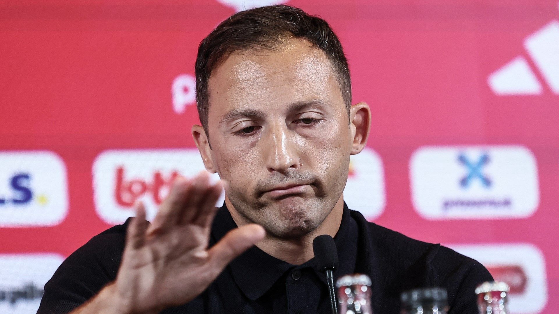 Domenico Tedesco Belgium 2024