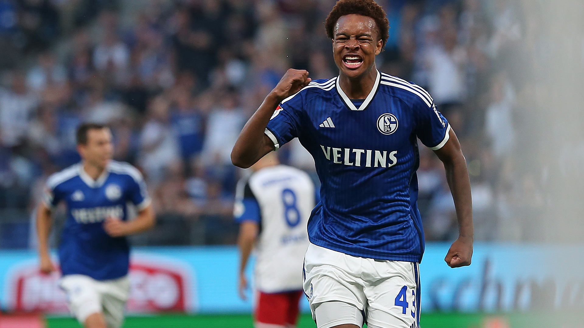 Assan Ouedraogo Schalke HSV