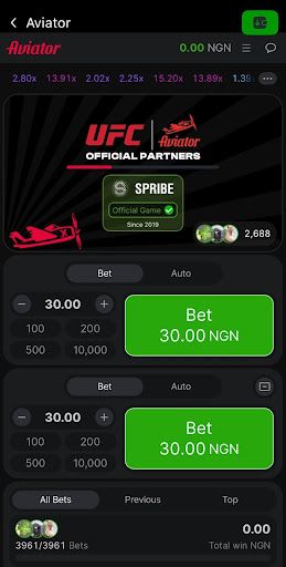 Betjara Aviator Focus.