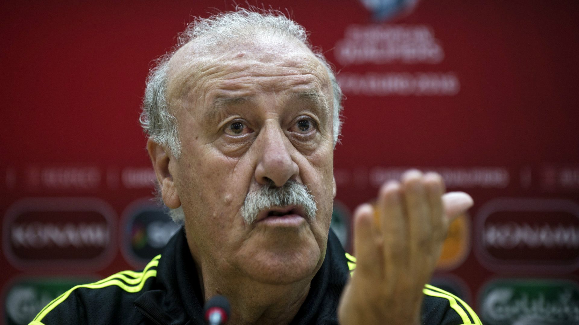 Vicente del Bosque Spain