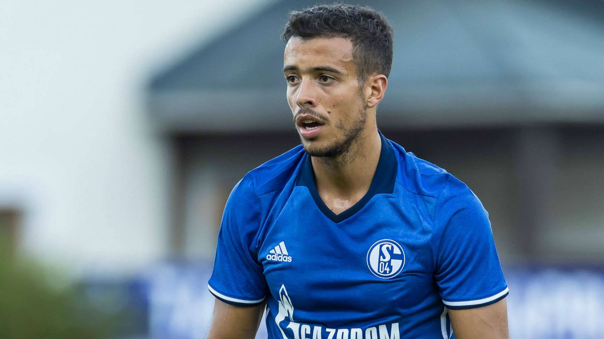 ONLY GERMANY Franco Di Santo Schalke 04