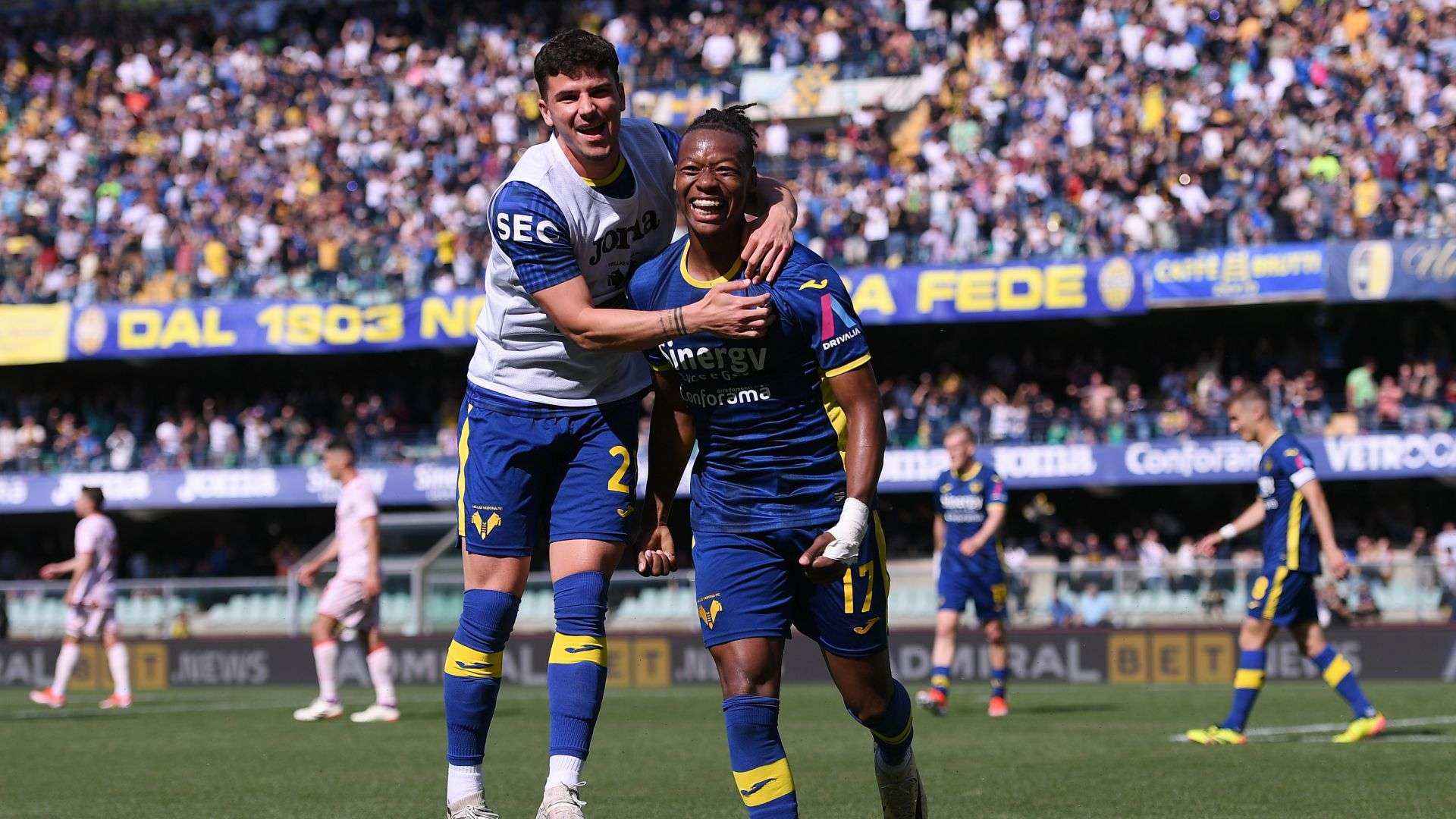 Tijjani Noslin Verona Fiorentina Serie A