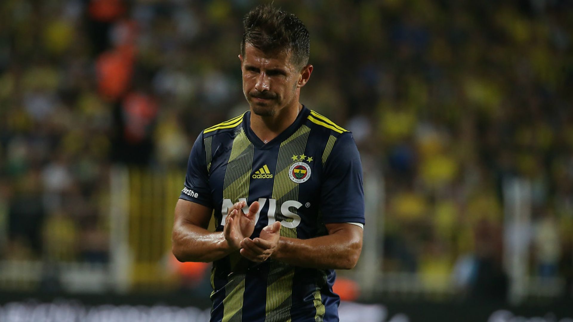 Emre Belozoglu Fenerbahce