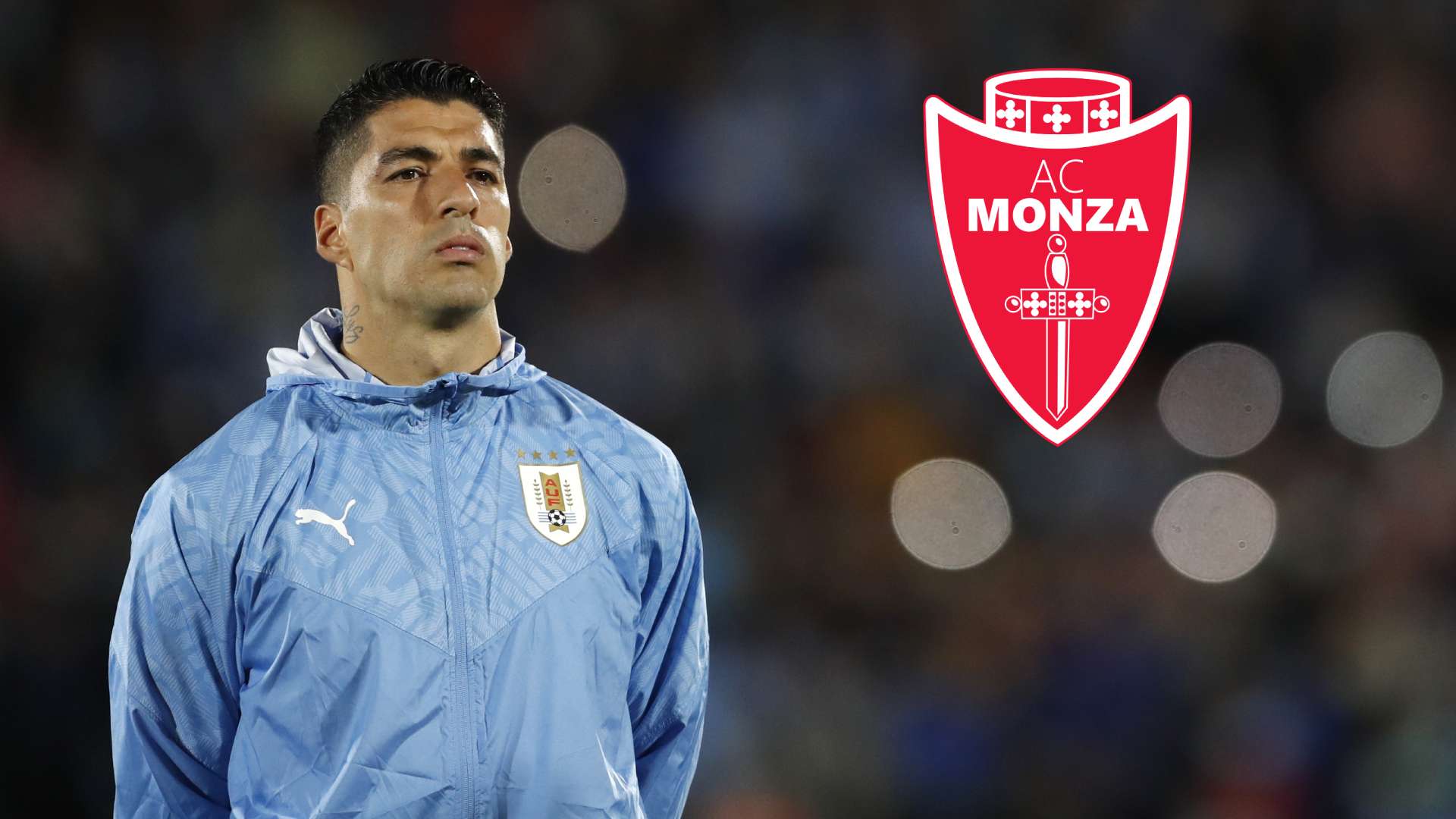Mercato Luis Suarez AC Monza