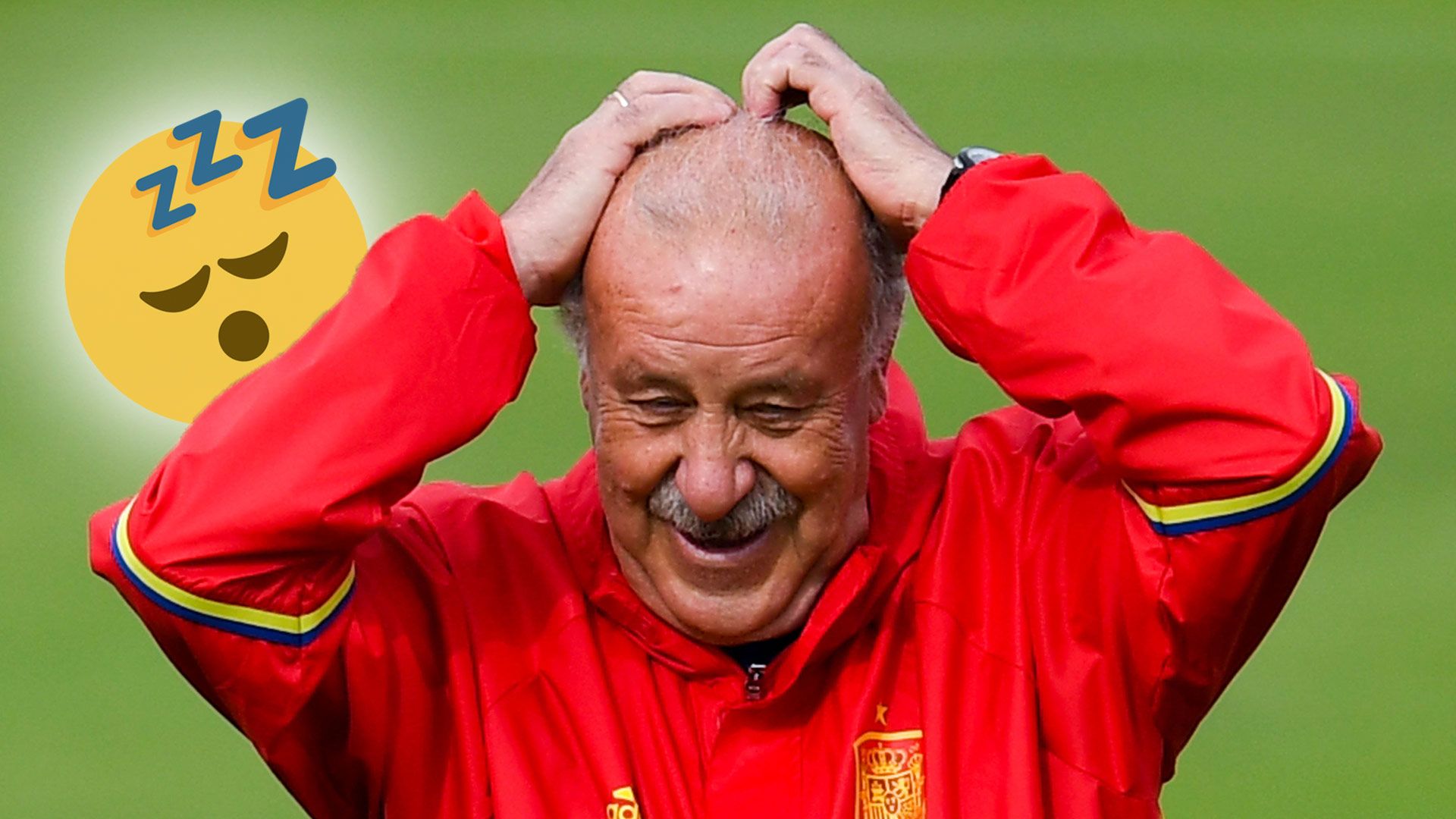 Del Bosque 