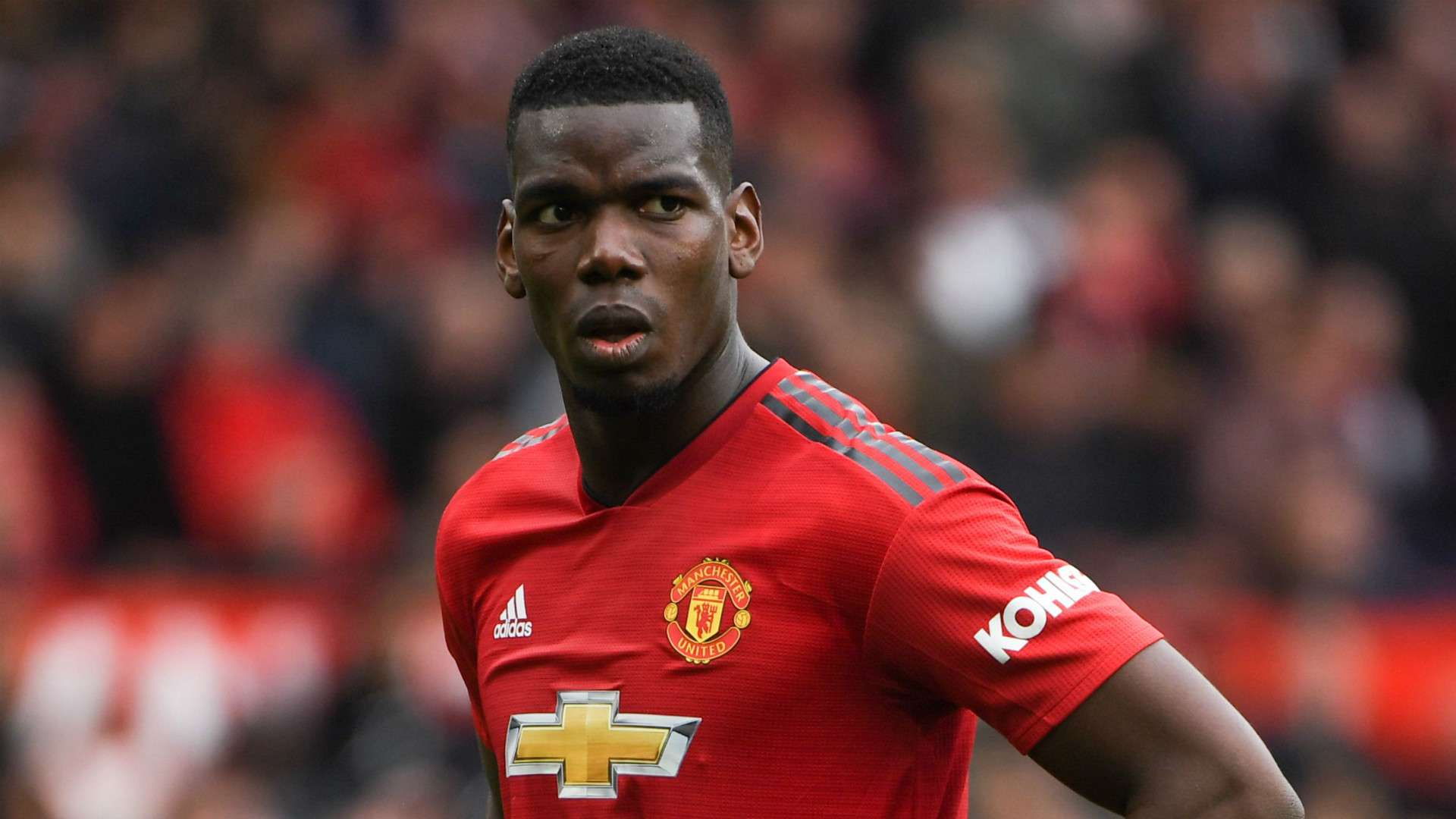 Paul Pogba Manchester United 2018-19