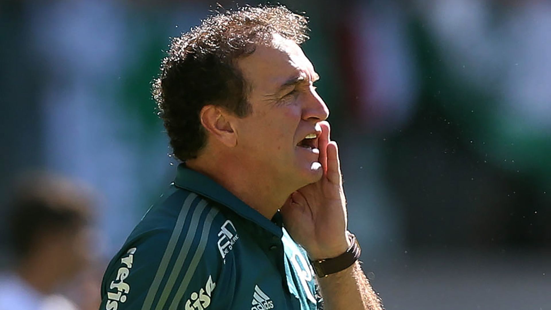 Cuca Palmeiras Vitoria Brasileirao Serie A 16072017