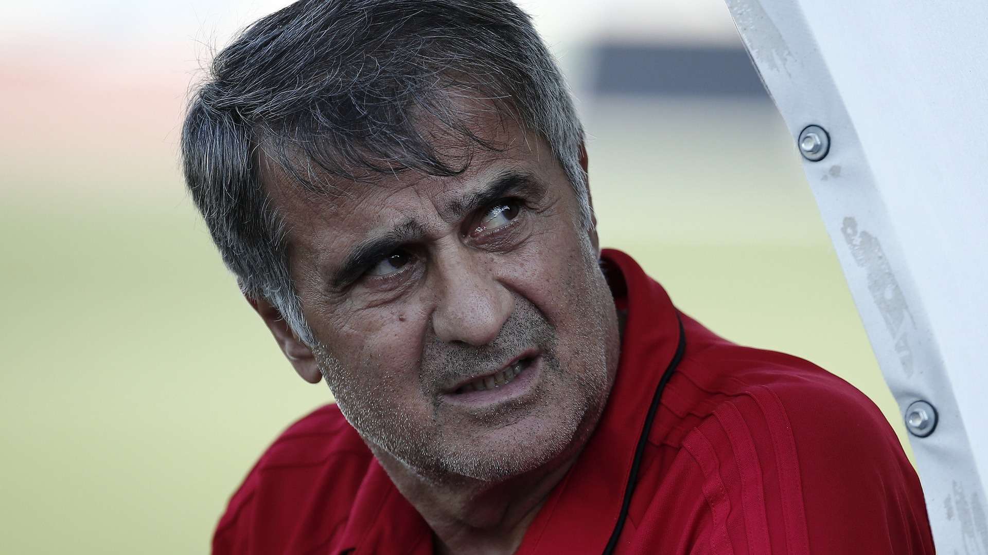 Senol Gunes Besiktas