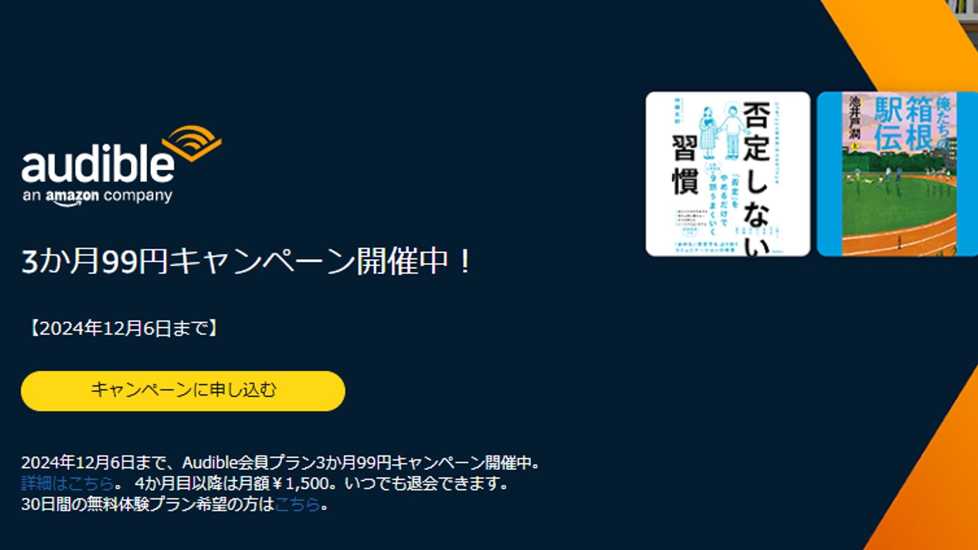 audible campaign 2024