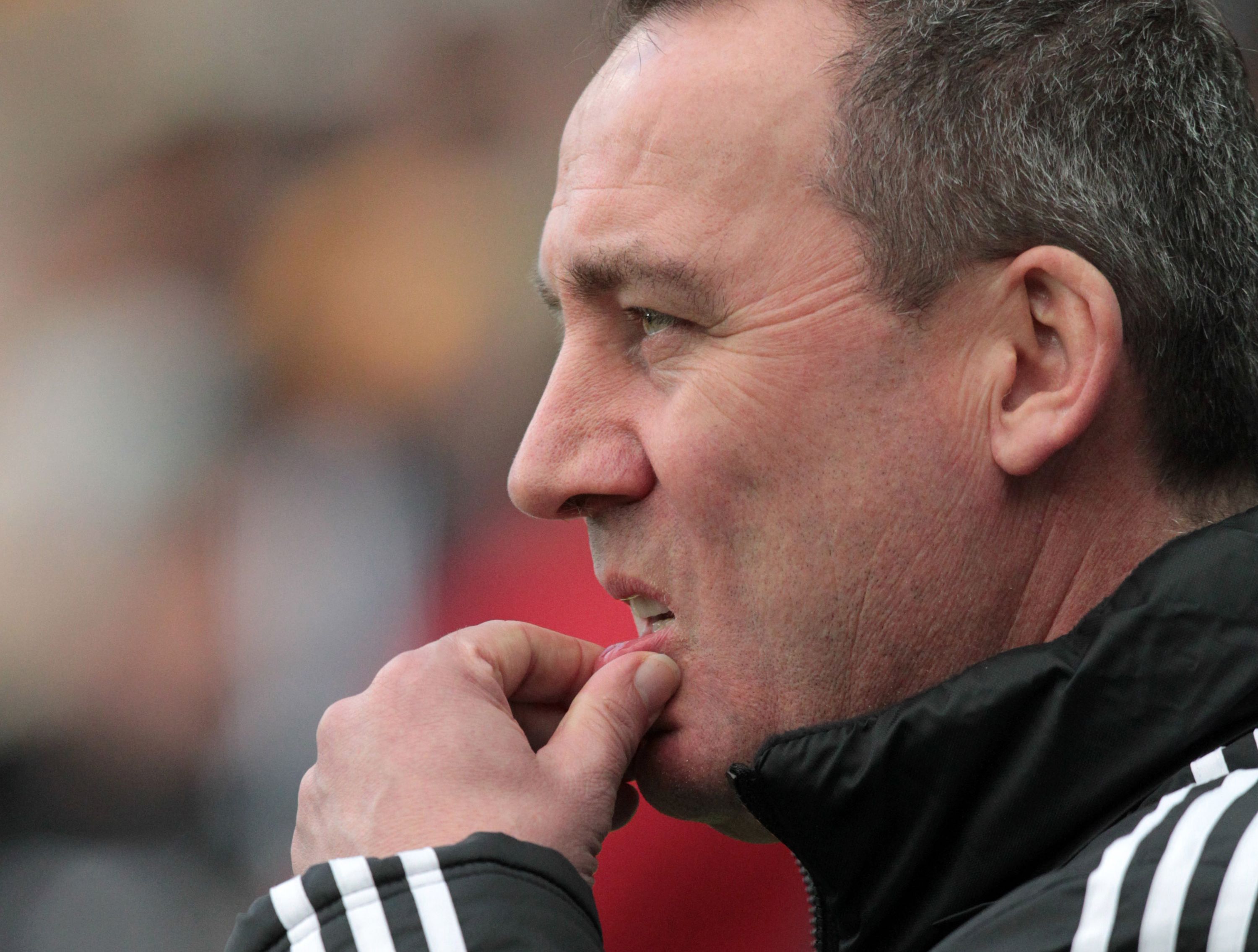 Fulham coach Rene Meulensteen