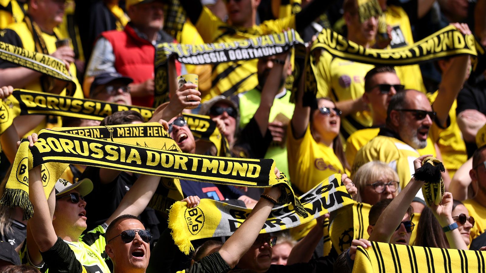 BVB Fans