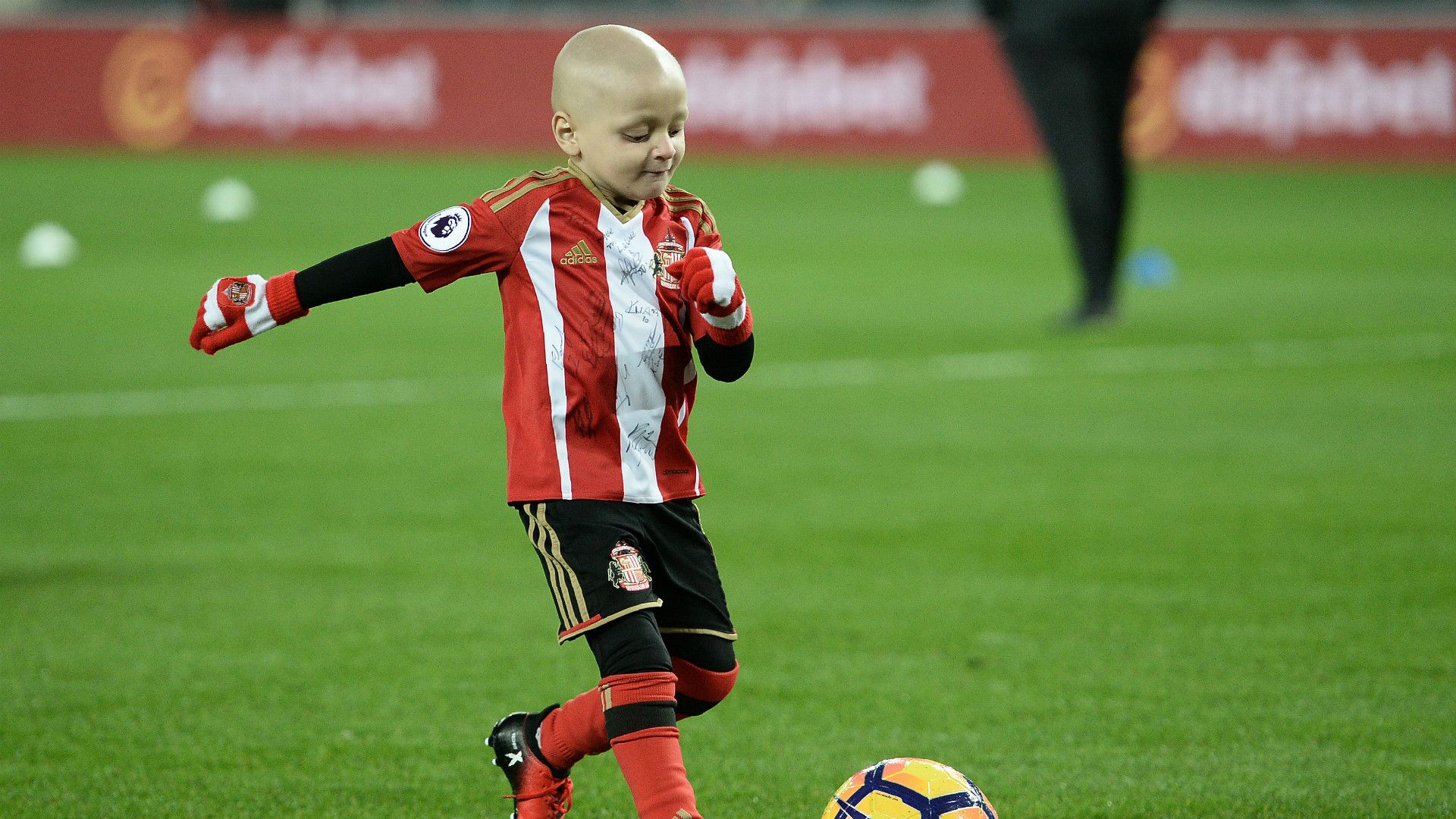 Bradley Lowery Sunderland