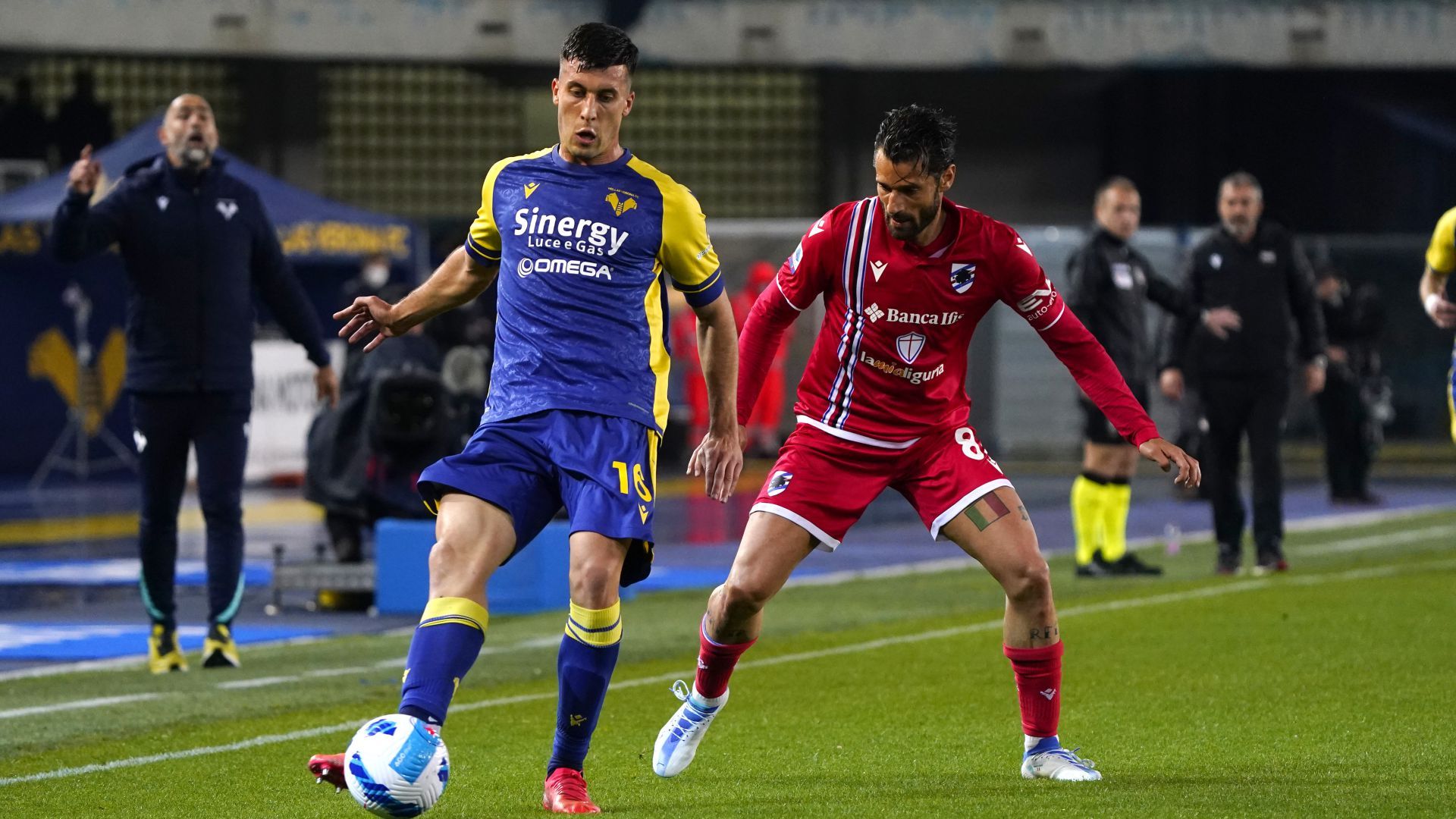 Nicolo Casale Verona Sampdoria Serie A