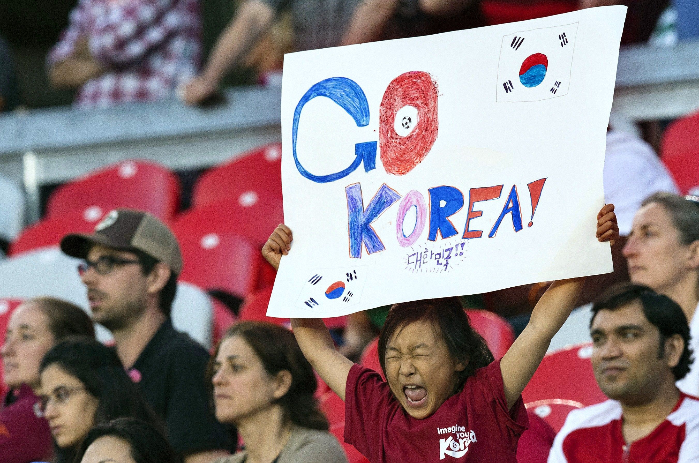 South Korean fan