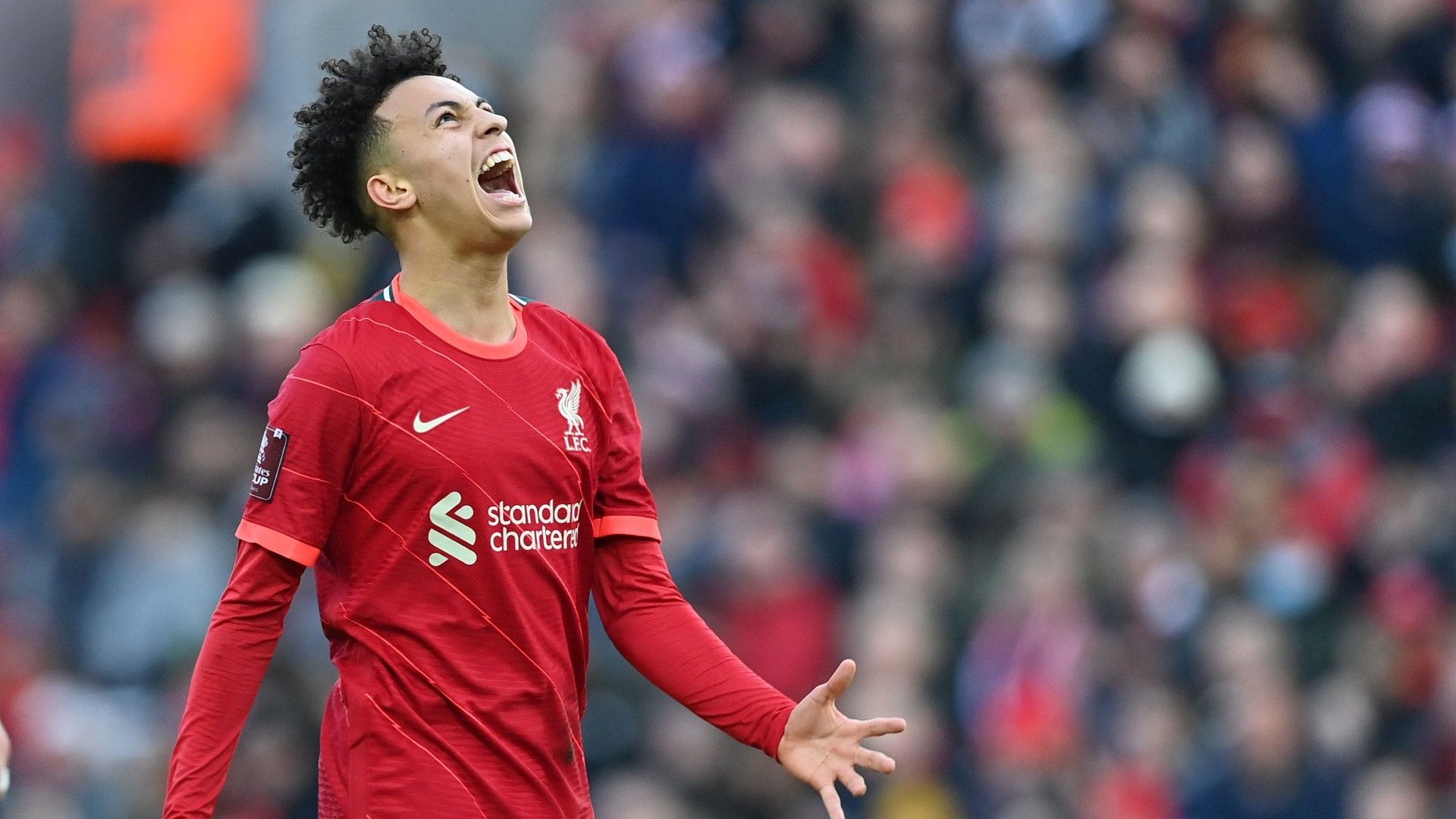 Kaide Gordon Liverpool Shrewsbury