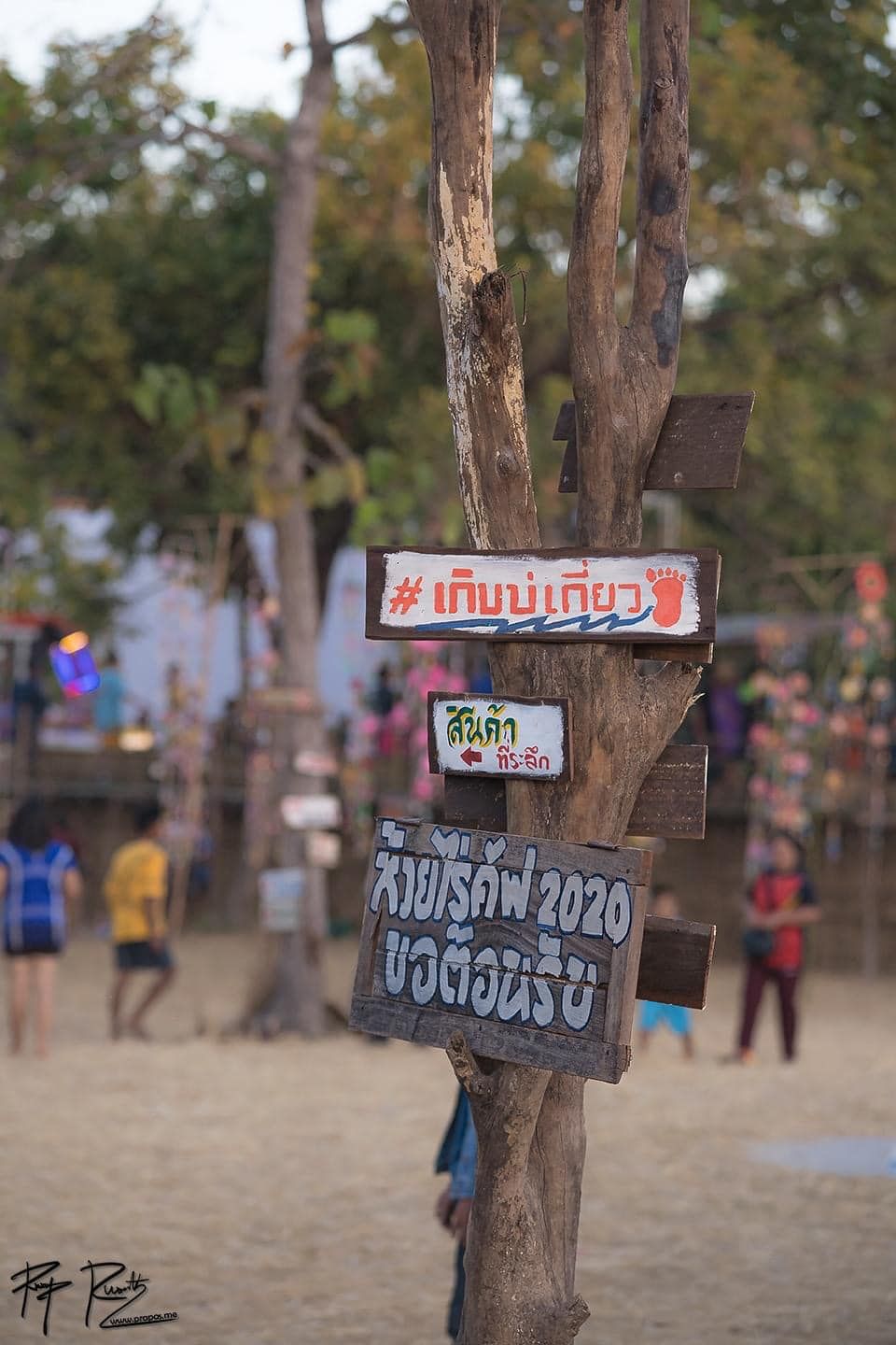 ห้วยไร่ คัพ