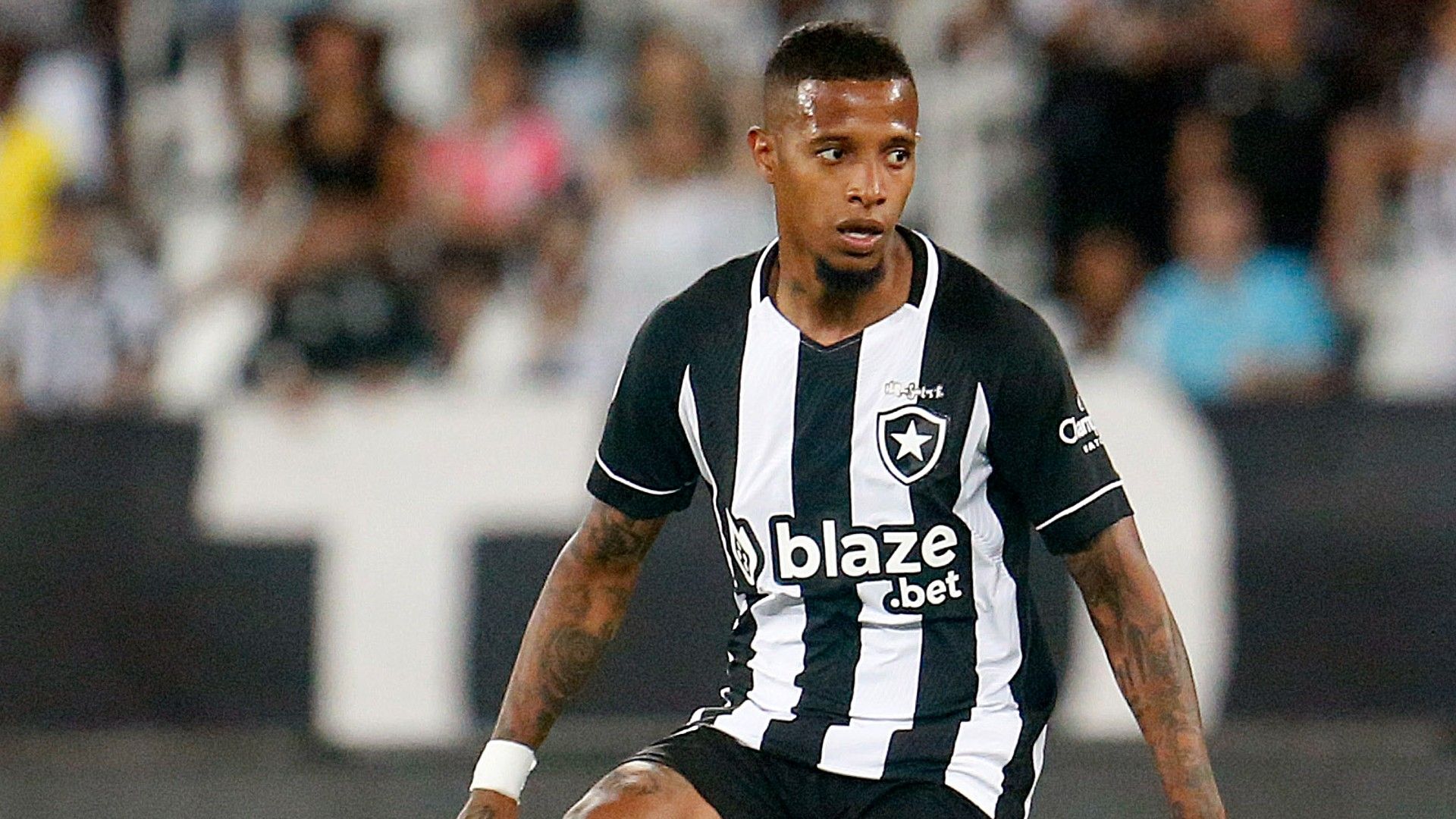 Tchê Tchê Botafogo 2022