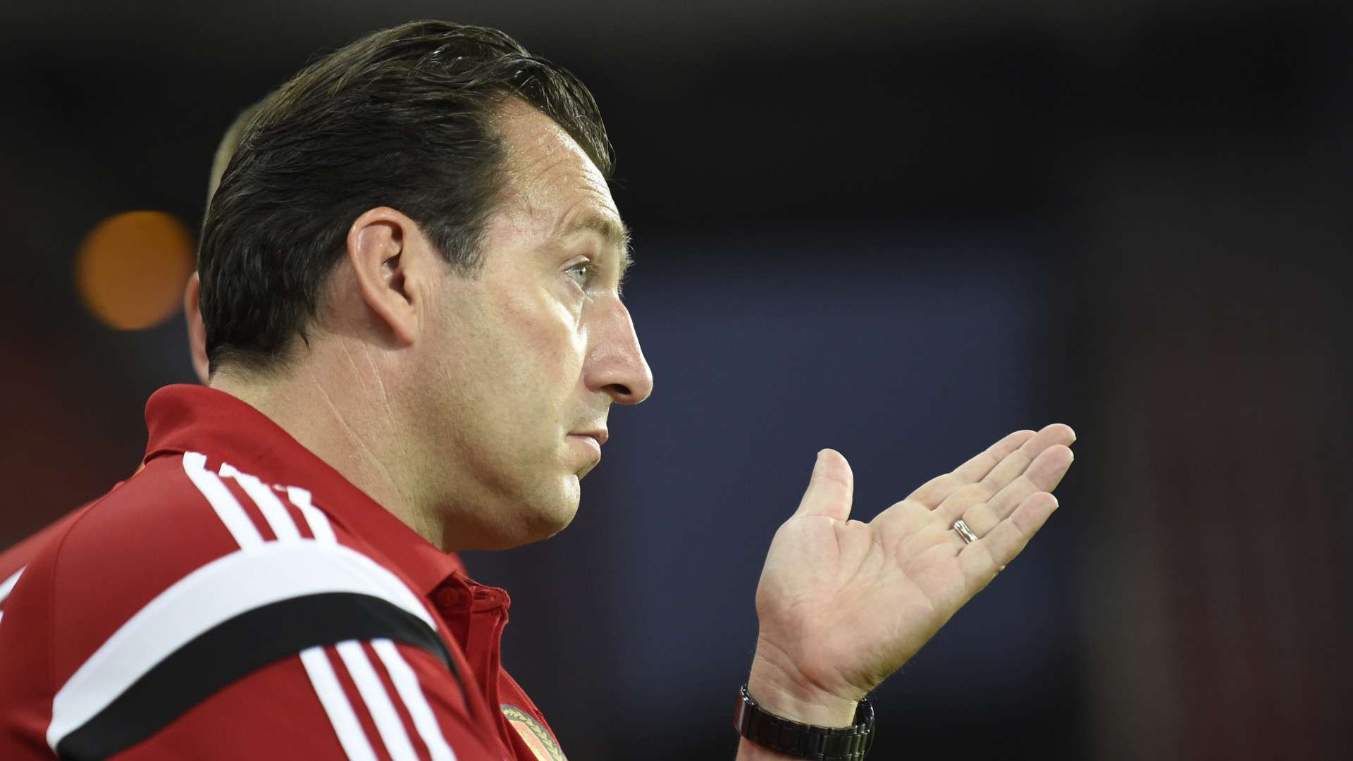 Marc Wilmots Belgien 04092014