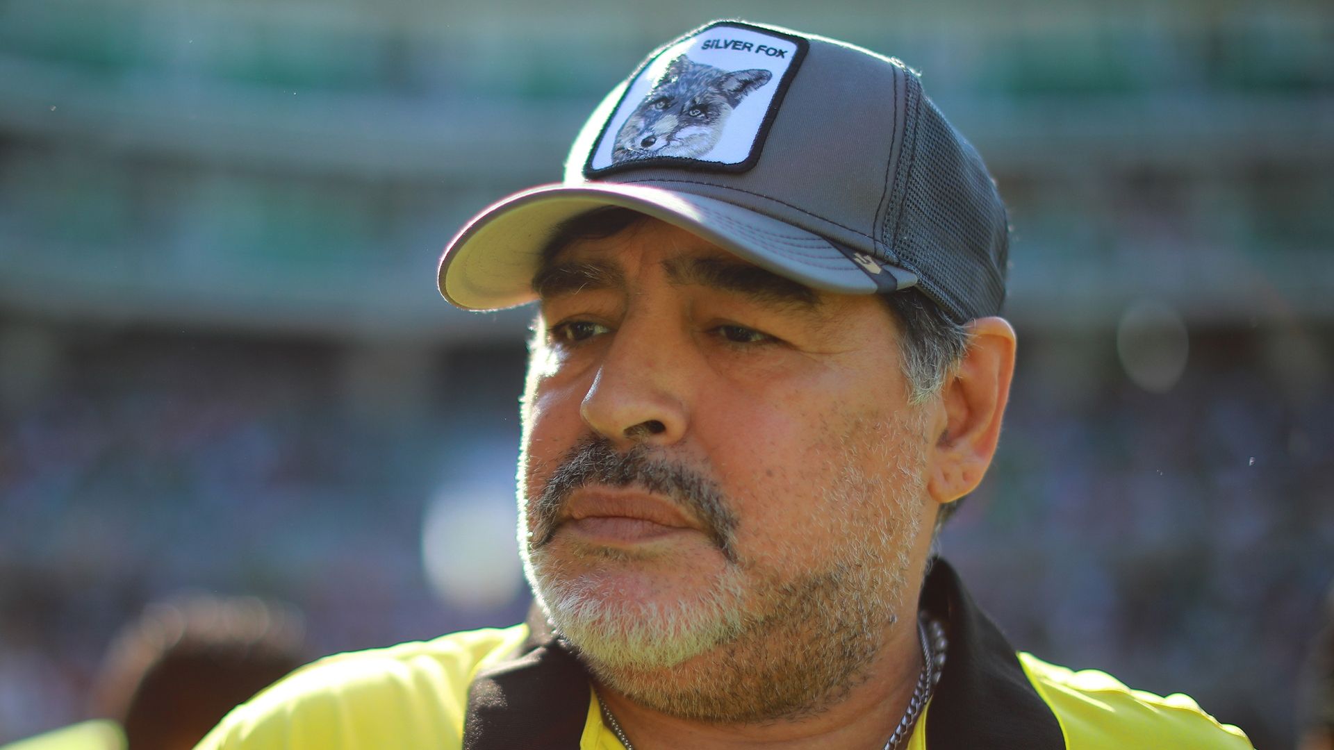 Diego Maradona Dorados