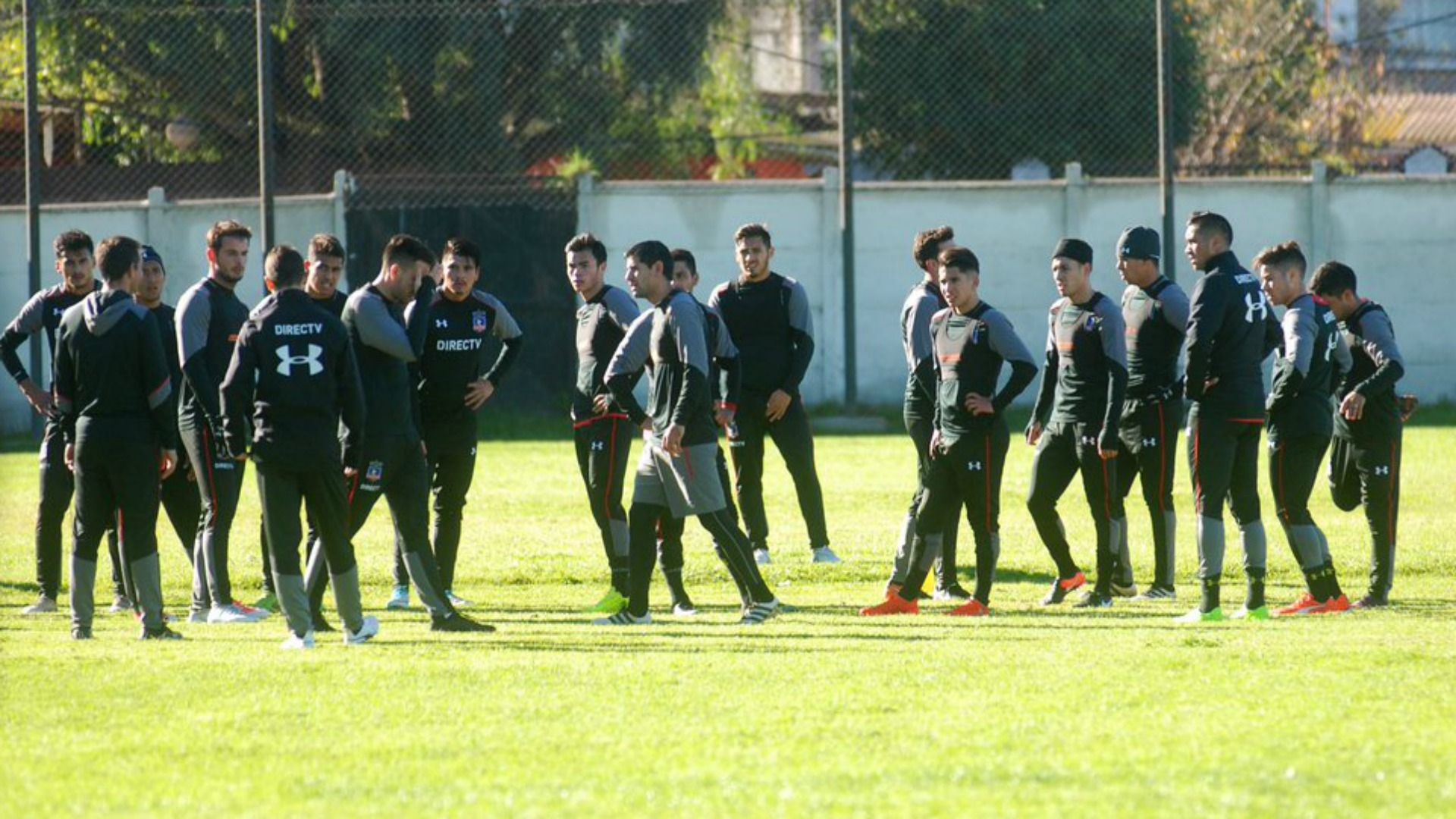 Colo Colo
