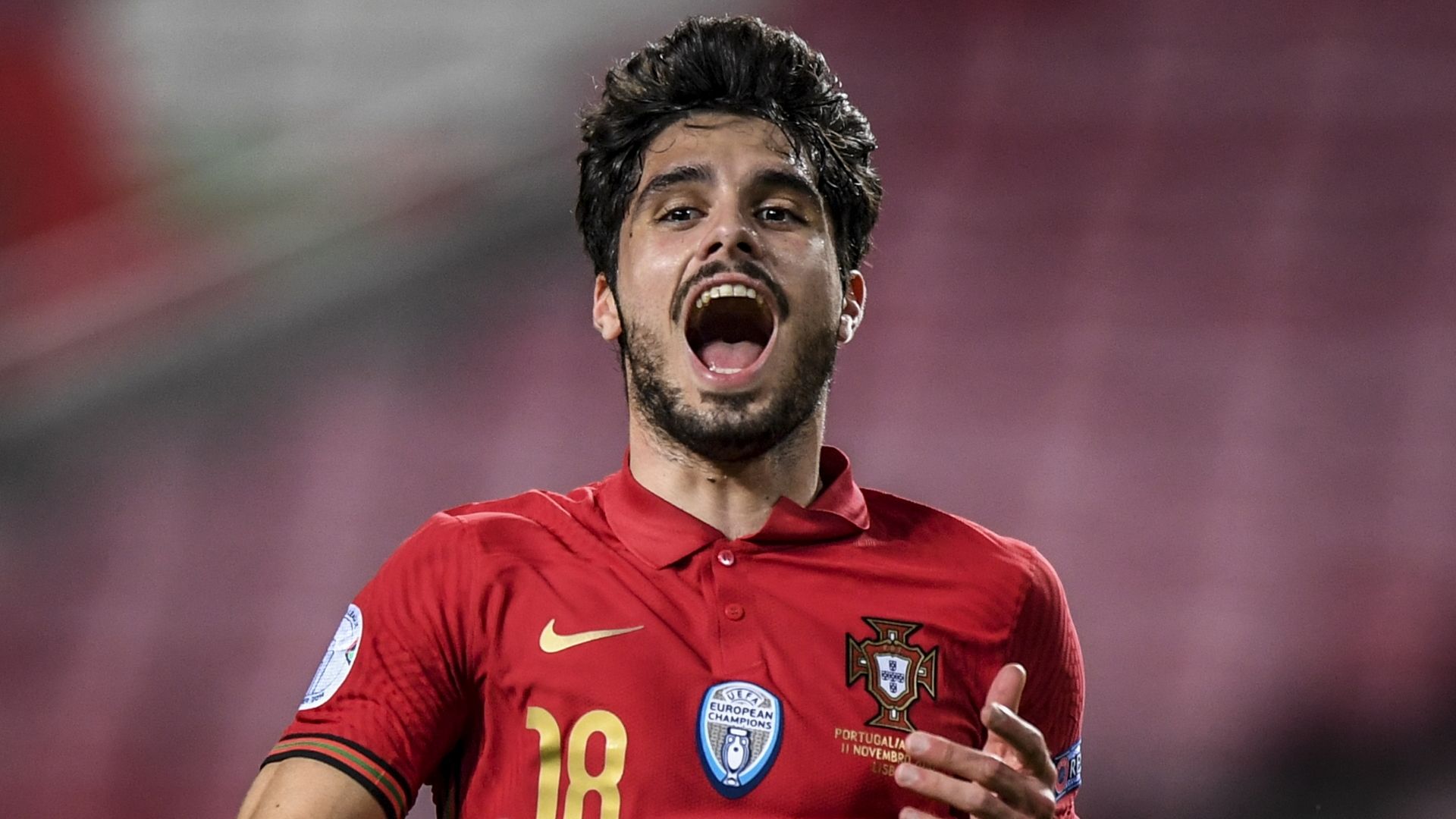 Pedro Neto, Portugal