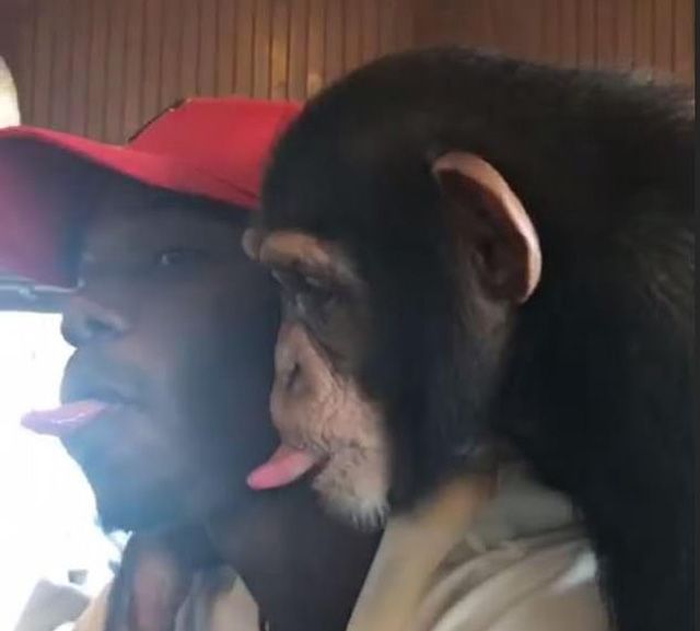 Pogba monkey dubai