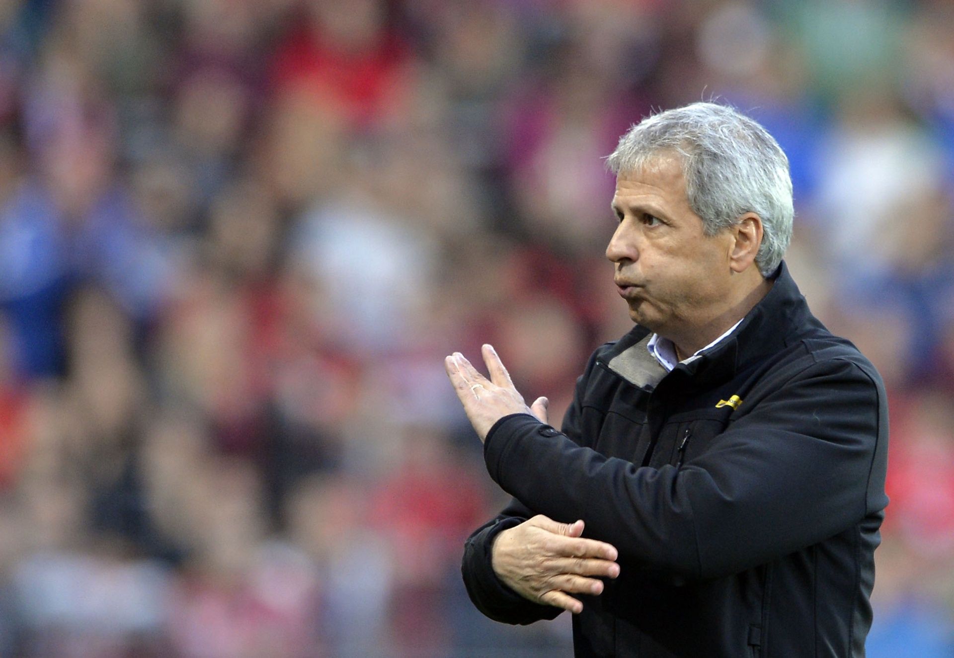Lucien Favre, Borussia Moenchengladbach