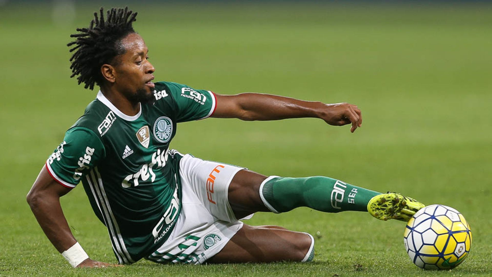 Zé Roberto Palmeiras São Paulo Brasileirão 07092016