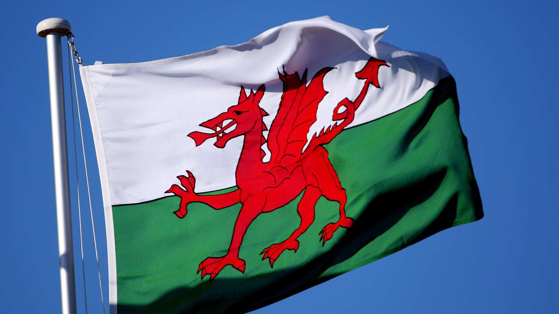 Wales Flagge Logo