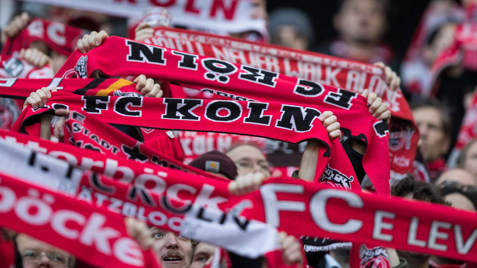Köln Koln Cologne Fans
