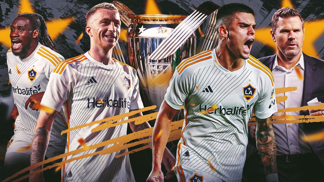 LA Galaxy win MLS Cup HIC
