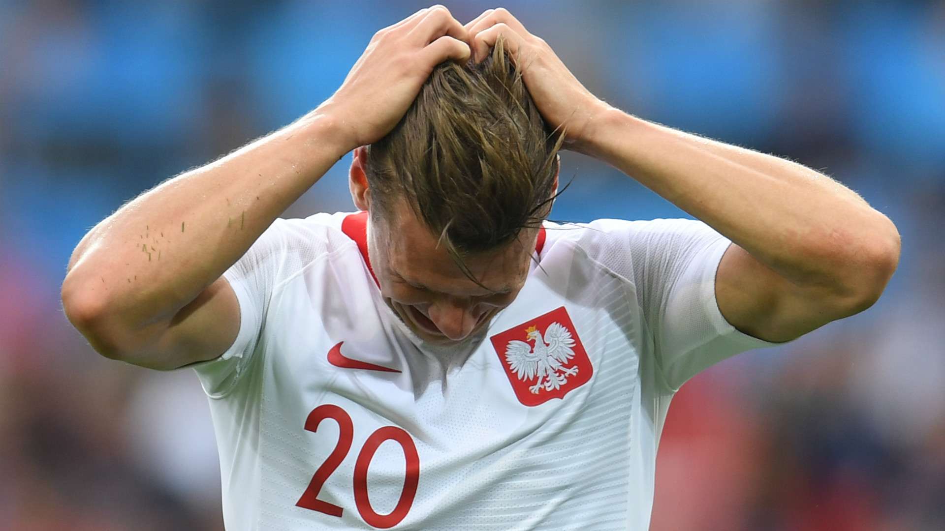 Lukasz Piszczek Poland