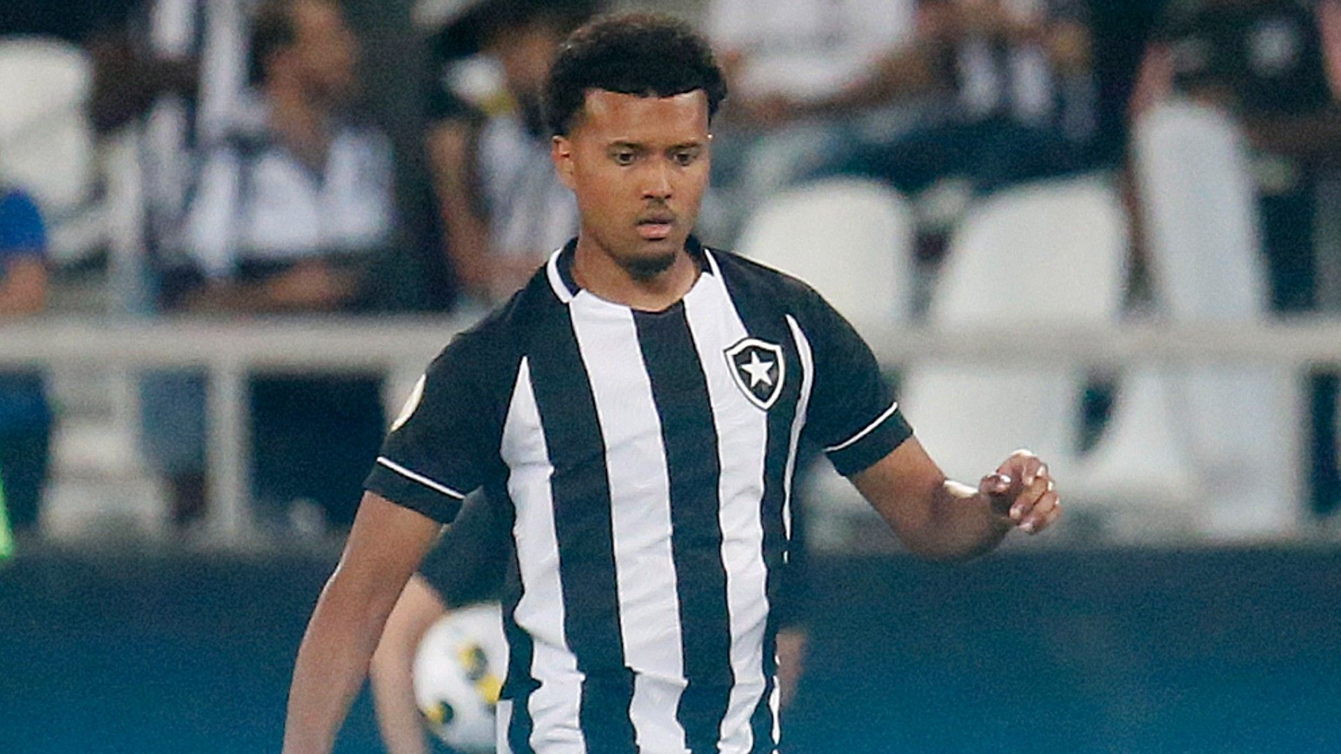 Nico Hamalainen Botafogo 2022