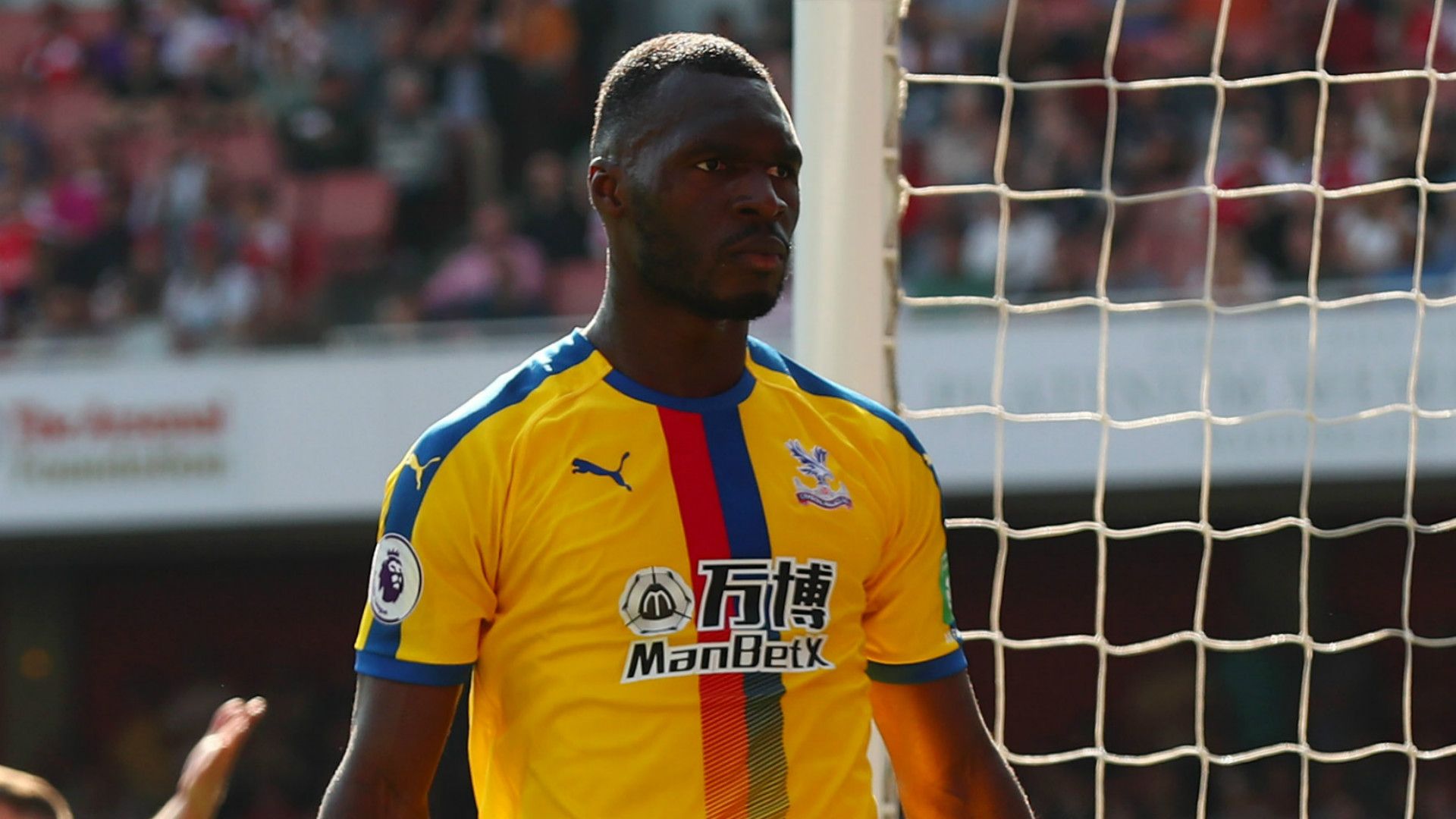 Christian Benteke Crystal Palace 2018-19