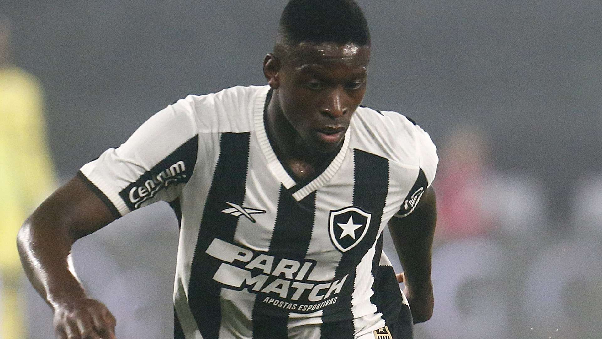 Luiz Henrique, Botafogo 2024