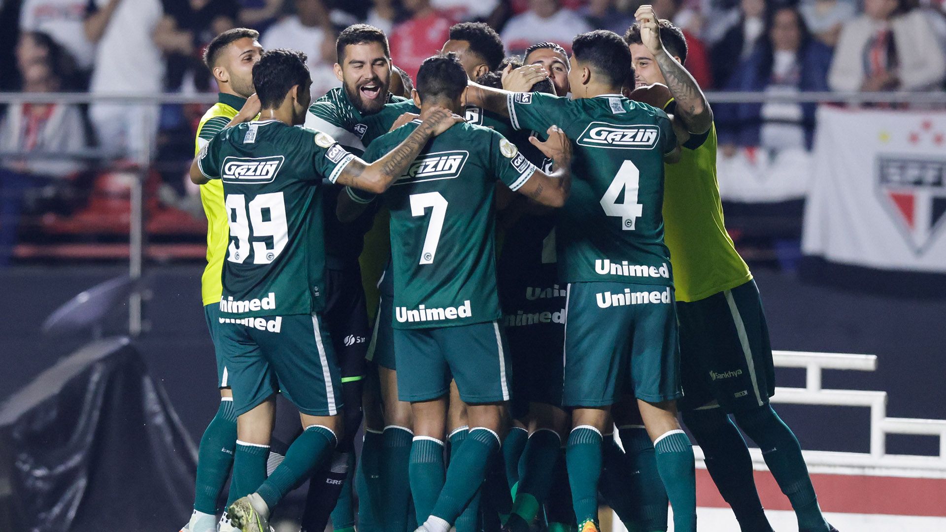 Goiás comemora, São Paulo x Goiás