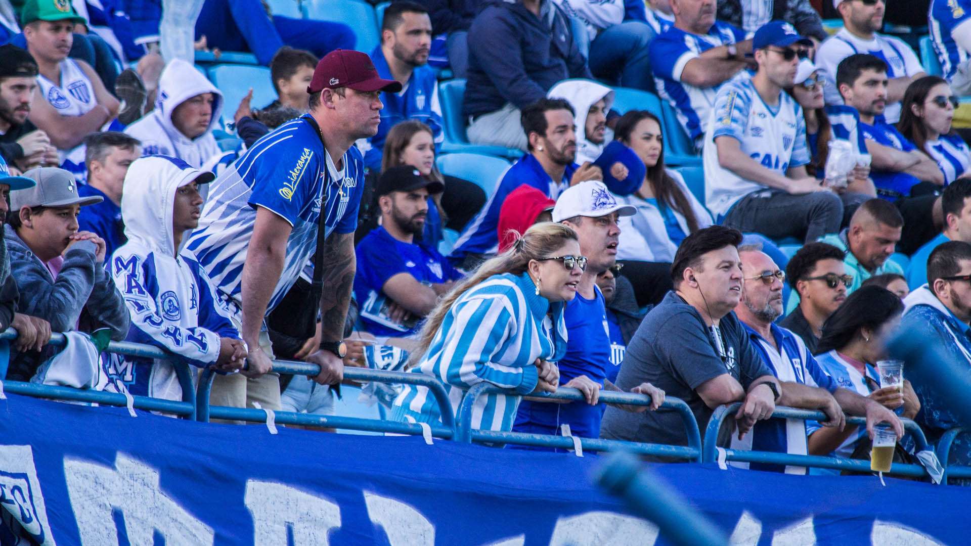 Torcida do Avaí, Brasileirão 2022