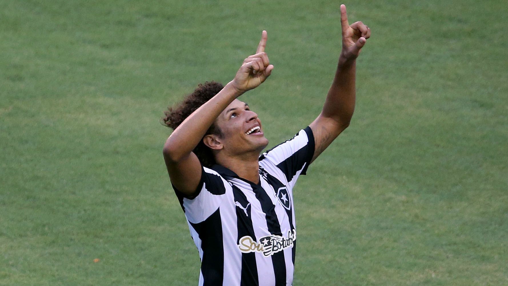 Willian Arão Botafogo Série B 23112015