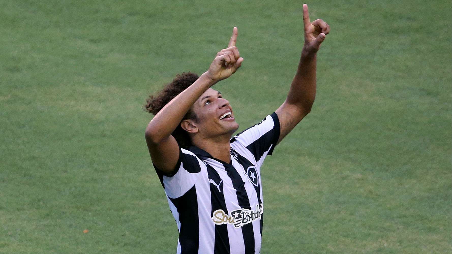 Willian Arão Botafogo Série B 23112015