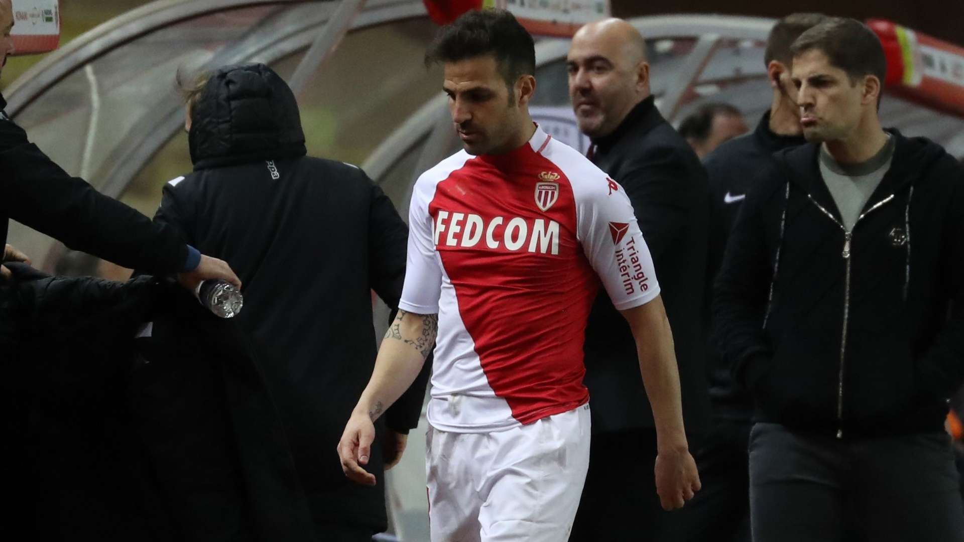 Fabregas Monaco